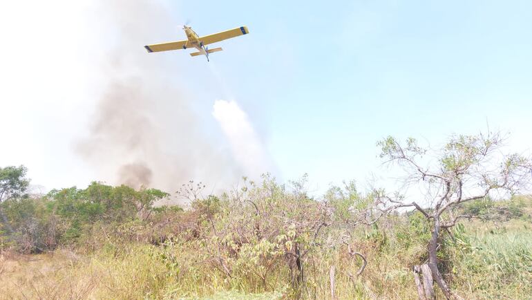 Continúa la lucha contra incendios forestales en Ayolas.