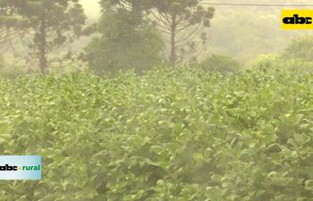 Heladas podrían aparecer recién en junio