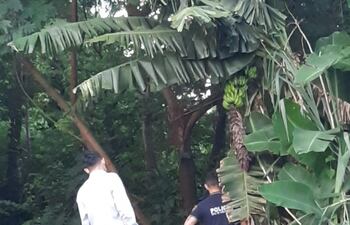 Momento en que la Policía verificaba el local del hallazgo. (Foto: Gentileza)