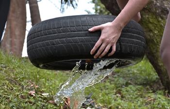 Dengue: acciones de control y prevención deben ser una constante todo el año.