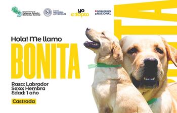 Bonita es una de las agentes retiradas de la Senad que busca nuevo hogar.