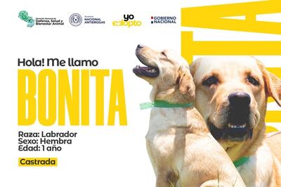 Bonita es una de las agentes retiradas de la Senad que busca nuevo hogar.