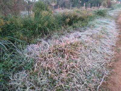 Heladas registradas en las primeras horas de este viernes.