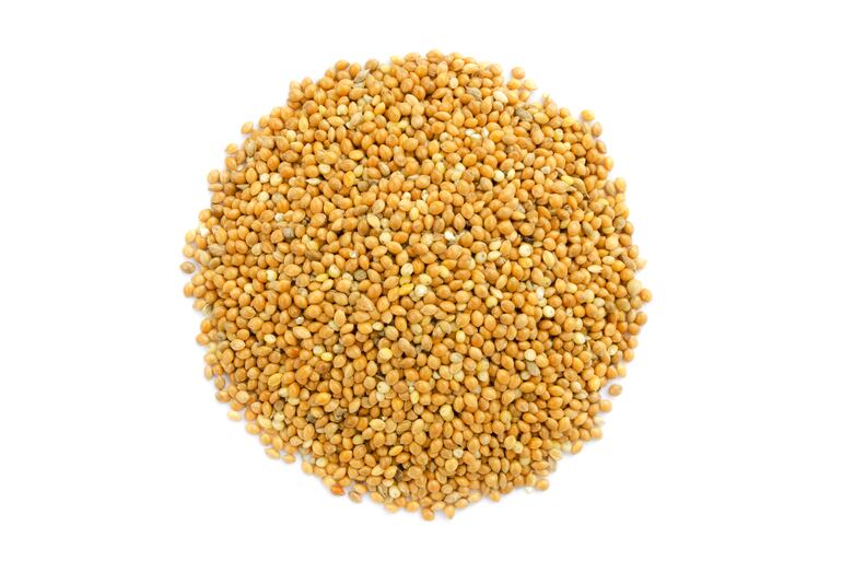 Semillas de mijo sin procesar