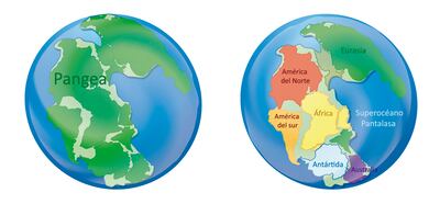 Los continentes actuales no siempre se encontraron en la posición en que están ahora.