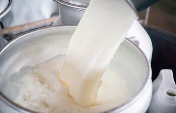 Dia Mundial de la Leche (4)-optimized.jpg