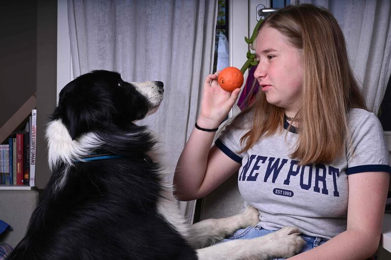Una adolescente juega con su perro border collie.