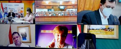 En reunión virtual, los legisladores urgieron al ministro Mazzoleni a ejecutar su presupuesto.