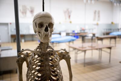 La Universidad de Giessen, en el oeste de Alemania, por ejemplo, recibe más de 1.000 solicitudes en este sentido cada año, indicó la directora de cátedra del Instituto de Anatomía y Biología Celular, Christina Nassenstein.