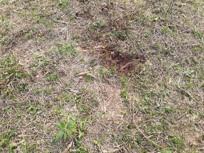 La mujer cayó sin signos de vida en el patio de su casa ubicada en el barrio San Gaspar.