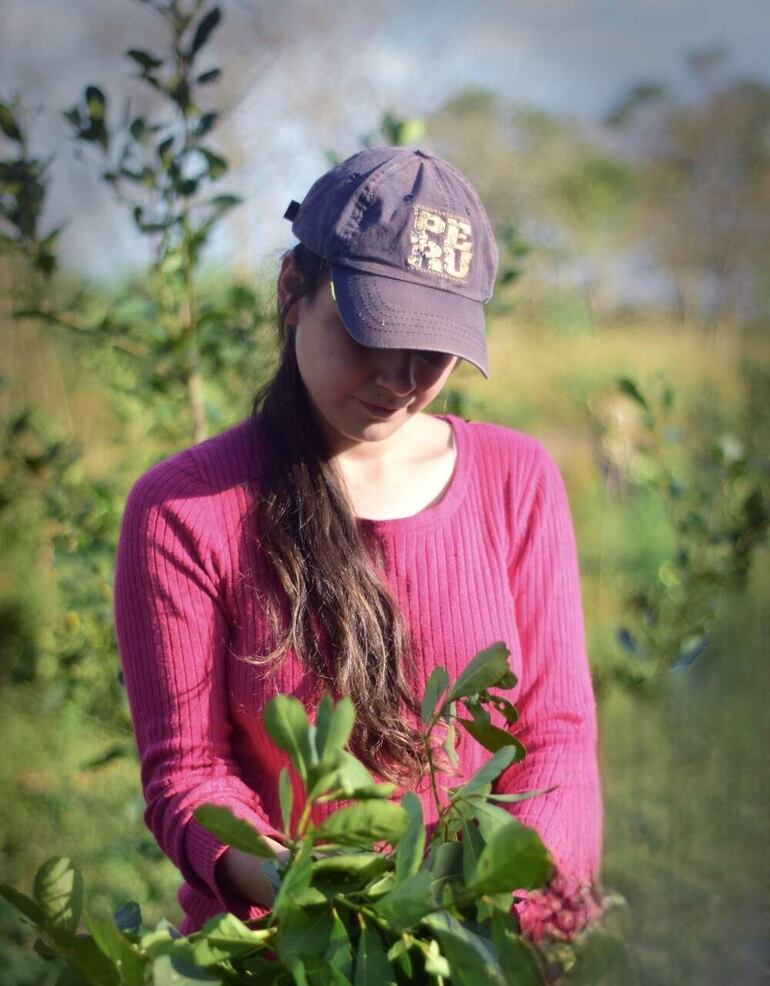 Celia Motta es una pobladora de Itapúa Poty, integrante de la Aso-Oñoirũ que elabora yerba mate.