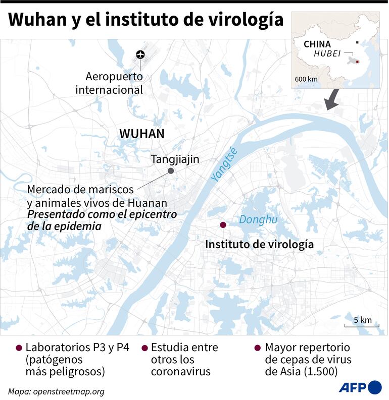 WUHAN Y EL INSTITUTO DE VIROLOGÍA