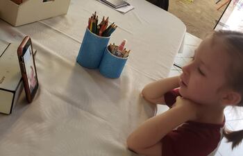 La modalidad virtual llega al 87 por ciento del estudiantado.