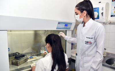 El trabajo de los veterinarios abarca un gran universo de actividades.