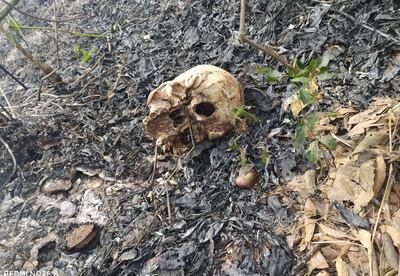 /pf/resources/images/abc-placeholder.png?d=2421