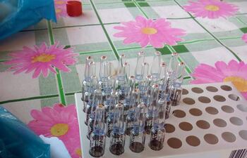 Estas ampollas que contienen ivermectina de uso veterinario supuestamente fueron aplicadas a unos indígenas de una estancia de San Pedro.