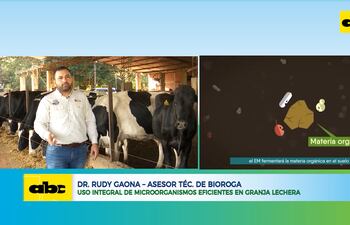 Uso integral de microorganismos eficientes en granja lechera
