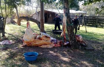 Los casos de abigeatos van en aumento en Alto Paraná. (Imagen ilustrativa)