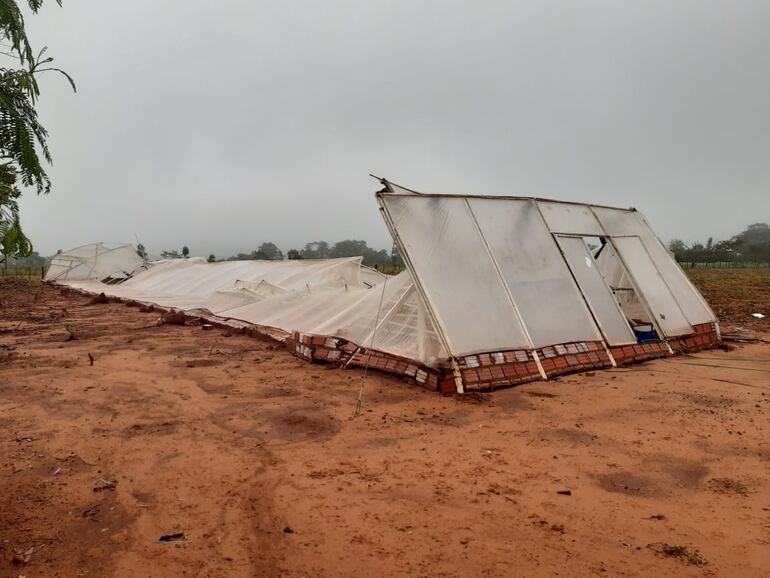 Invernadero destruido por temporal en San Pedro.