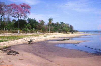 La calidad del agua en la cuenca del lago Ypacaraí es hoy deficiente por la falta de infraestructura para recolectar y tratar las aguas residuales producidas por la población   que vive alrededor de la cuenca del lago.