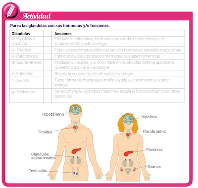 El ensayo argumentativo: redacción (3)