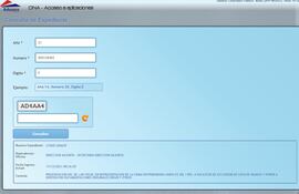 Captura de pantalla de la web de Aduanas.