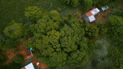 /pf/resources/images/abc-placeholder.png?d=2394