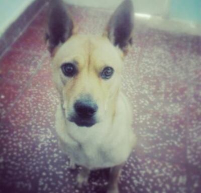 /pf/resources/images/abc-placeholder.png?d=2419