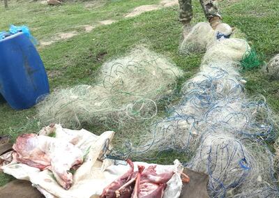 Se incautaron muchos elementos de pesca prohibidos durante los operativos.