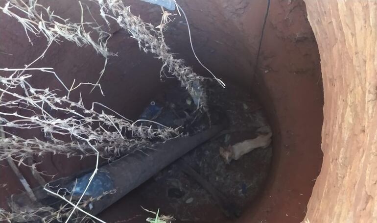 Un perro fue rescatado por bomberos voluntarios de un pozo ciego de 15 metros