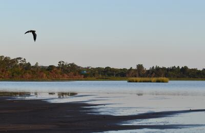 Nada se hace por el lago Ypacaraí