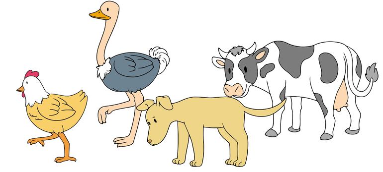 ¿Cómo se mueven y de qué están cubiertos?