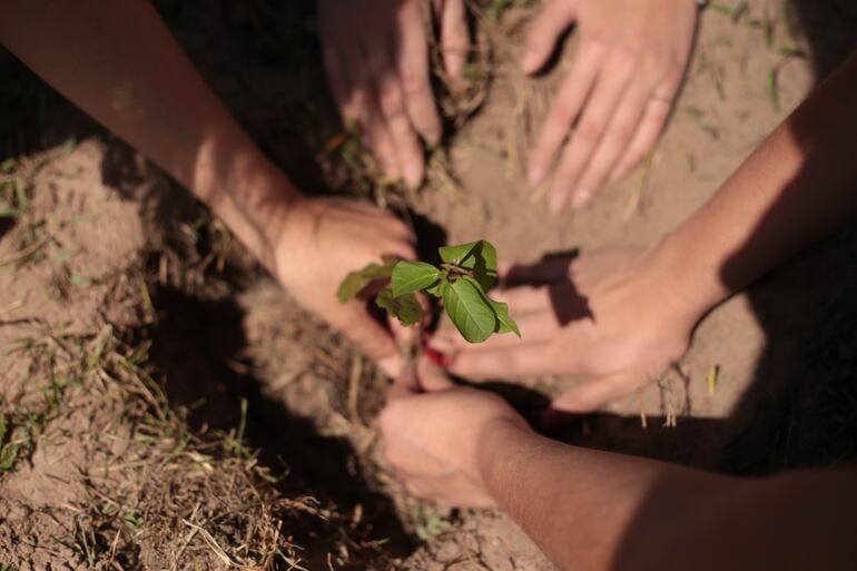 CCI tiene una alianza con la organización A Todo Pulmón.