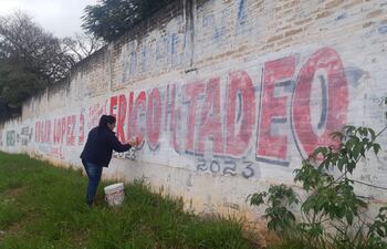 Juzgado elimina propaganda electoral extemporánea.