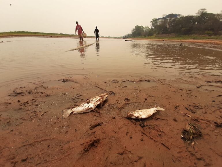 /pf/resources/images/abc-placeholder.png?d=2397