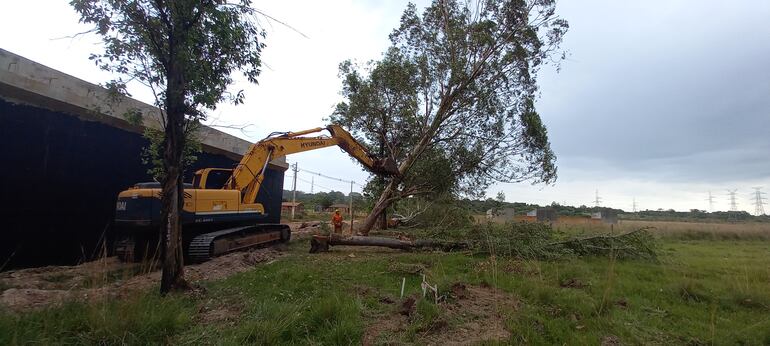 Momento en que una máquina empieza a derribar los árboles que se encuentran dentro de los predios afectados por la duplicación de la Ruta PY02.