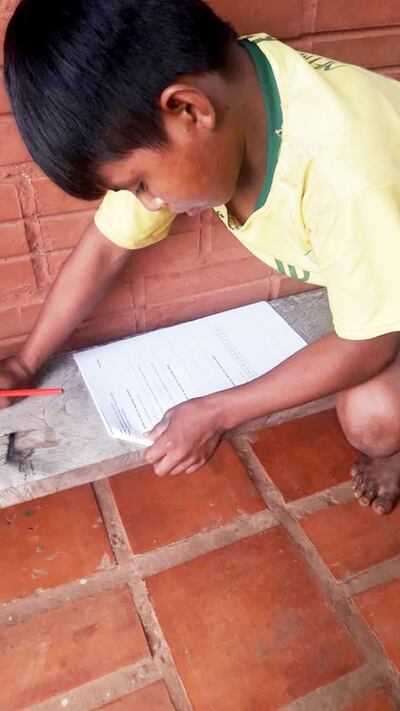 Al menos un 20% de los alumnos no pueden ser parte de la educación virtual. A los niños sus maestros les dan fotocopias.