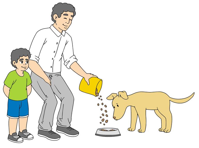 Sea cual sea nuestra mascota, debemos ser siempre cariñosos con ella y proveerle abrigo, comida y todo lo que necesite.