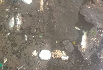 /pf/resources/images/abc-placeholder.png?d=2422