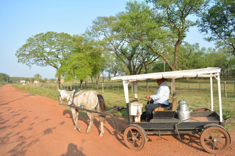 En este sulky recorre todos los dìas desde la granja Mburukuja hasta la ciudad de Concepciòn.