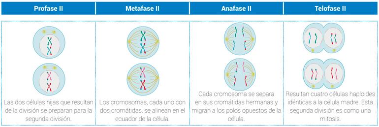 /pf/resources/images/abc-placeholder.png?d=2425