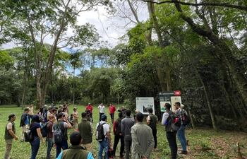 El técnico forestal es capaz de emprender y gestionar proyectos forestales, atendiendo a la necesidad de responder a un Plan Nacional que apunte a fortalecer las áreas de bosques naturales e implantados, según el Infona.