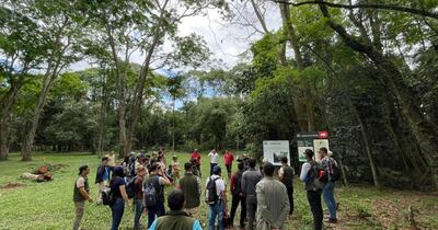 El técnico forestal es capaz de emprender y gestionar proyectos forestales, atendiendo a la necesidad de responder a un Plan Nacional que apunte a fortalecer las áreas de bosques naturales e implantados, según el Infona.