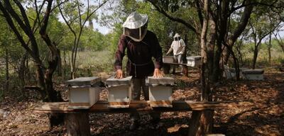 El objetivo es apuntalar el rubro en Ñeembucú.