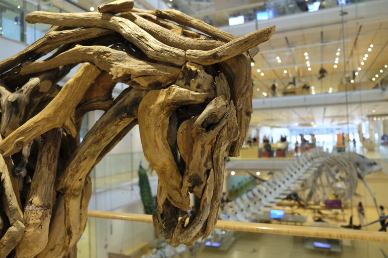 El museo de ciencia Muse es poco conocido por los turistas extranjeros que visitan Trento, pero bien vale una recorrida. Foto: Florian Sanktjohanser/dpa