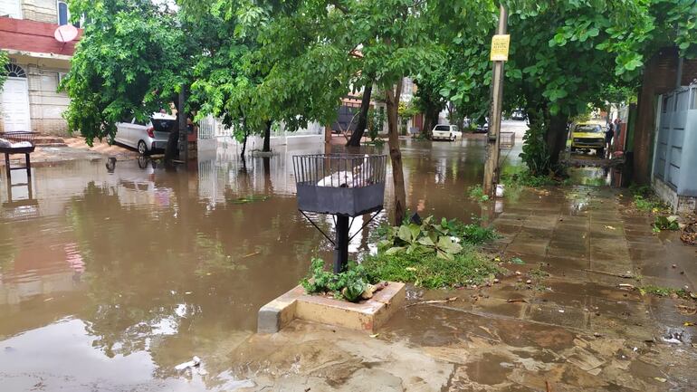 Hasta las veredas y las casas del barrio San Vicente se inundan por falta de mantenimiento del desaguadero.