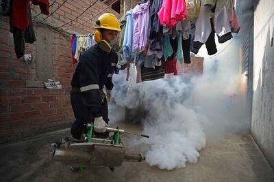 Las claves del peor brote de dengue de este siglo en Perú.
