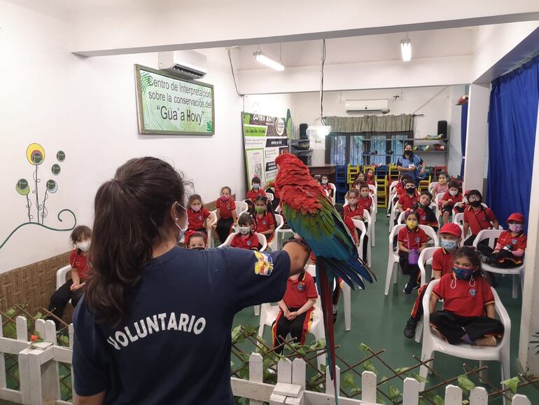 Taller de aves: sentir, conocer, actuar.