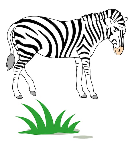 dibujos de animales de colores