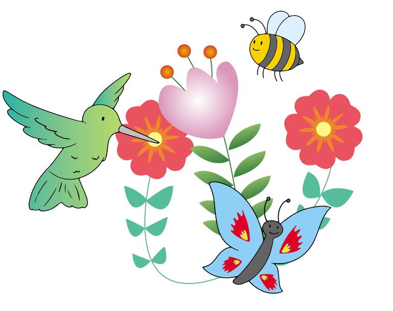 ¿Cómo se mueven y de qué están cubiertos?